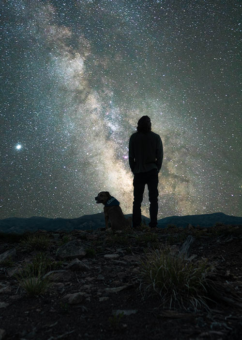 Person mit Hund blickt unter dem Sternenhimmel in die Milchstrasse – Naturerlebnis in der Nacht